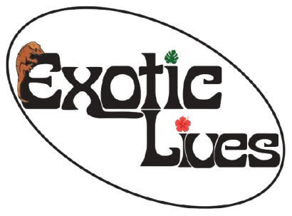 Exotic Lives