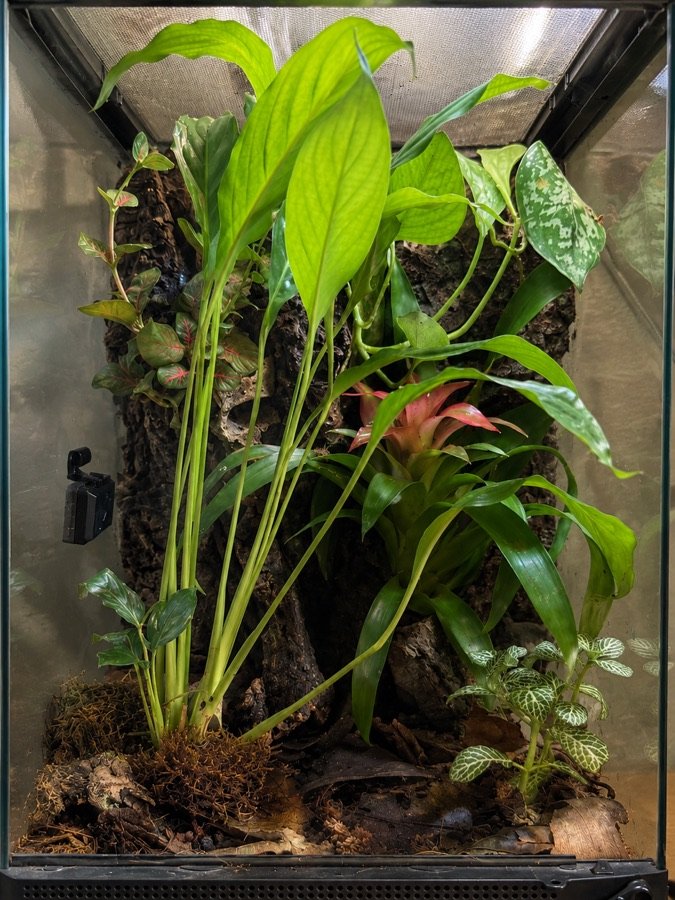 Terrarium build 3