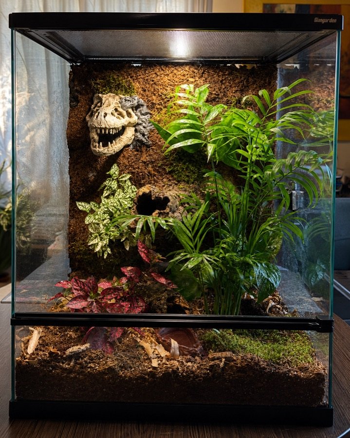 Terrarium build 1